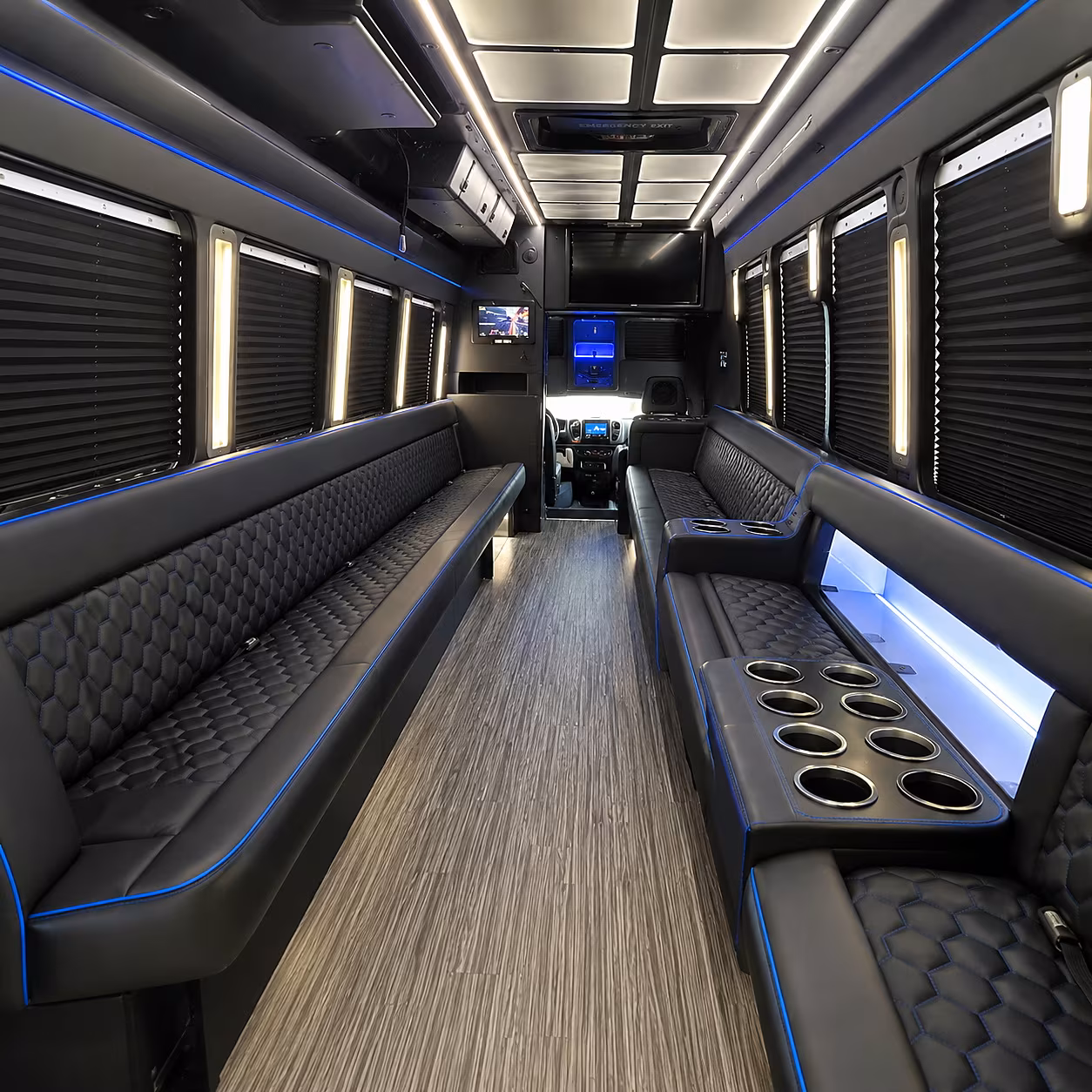 birthday party bus rental